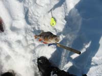 Фотогалерея - фото зимней рыбалки - Белый Яр